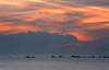 Alba-sul-mare2.gif (66094 byte)