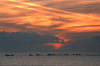 Alba-sul-mare.gif (63807 byte)